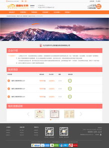 阿里车主网 用户体验驱动的网页与网站设计策略